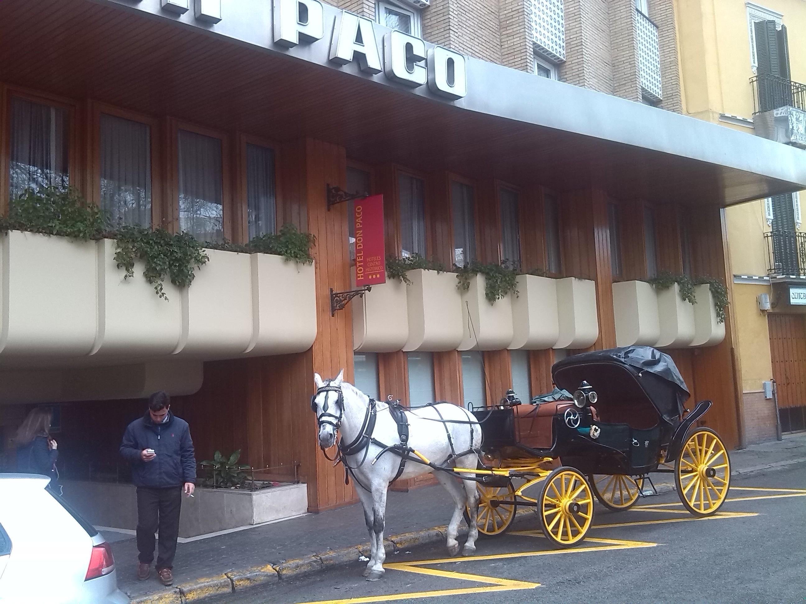 Hotel Don Paco Sevilla Dış mekan fotoğraf